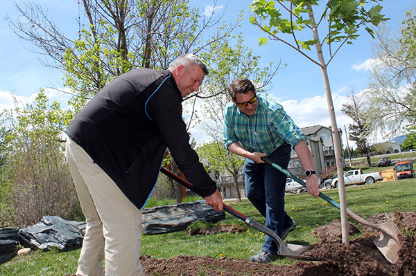 Summer tree planting jobs in bc