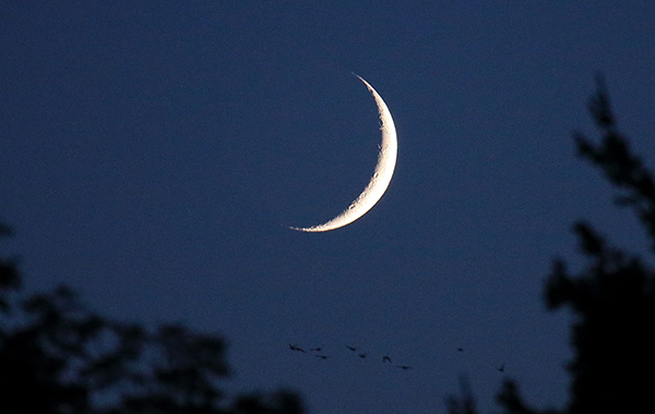 Waxing Crescent Moon marks countdown to Harvest Moon
