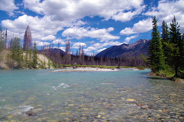Summer in the East Kootenay 2020 | Canal Flats, Columbia Valley ...