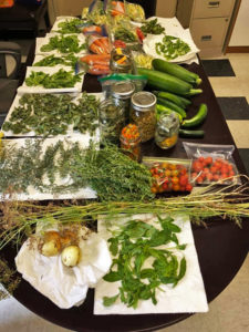 2022 02 Trust FoodAccessRecovery PHOTO1 Metis