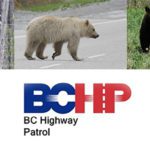 BCHP teams up with Parks Canada in Yoho
