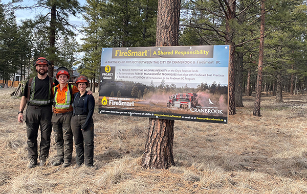 Council Approves Community Resilience Grant Application Cranbrook Council Approves Community Resilience Grant Application Cranbrook