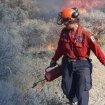 BCWS looking for firefighters