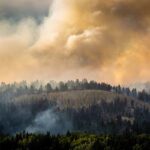Be vigilant and act now: prepare for wildfires