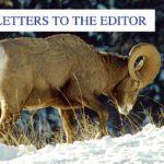 Wildlife overpass may not be the answer