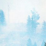 Prescribed burning partly to blame for huge fires