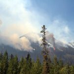 Area restriction for Mount Bingay wildfire rescinded