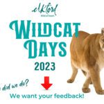 District conducting Wildcat Days feedback survey