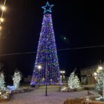 Sparwood lights up with help from tree donation