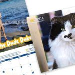Enter your pet in BC SPCA’s 2024 Calendar Contest