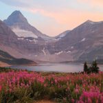 Mount Assiniboine campground now reservable