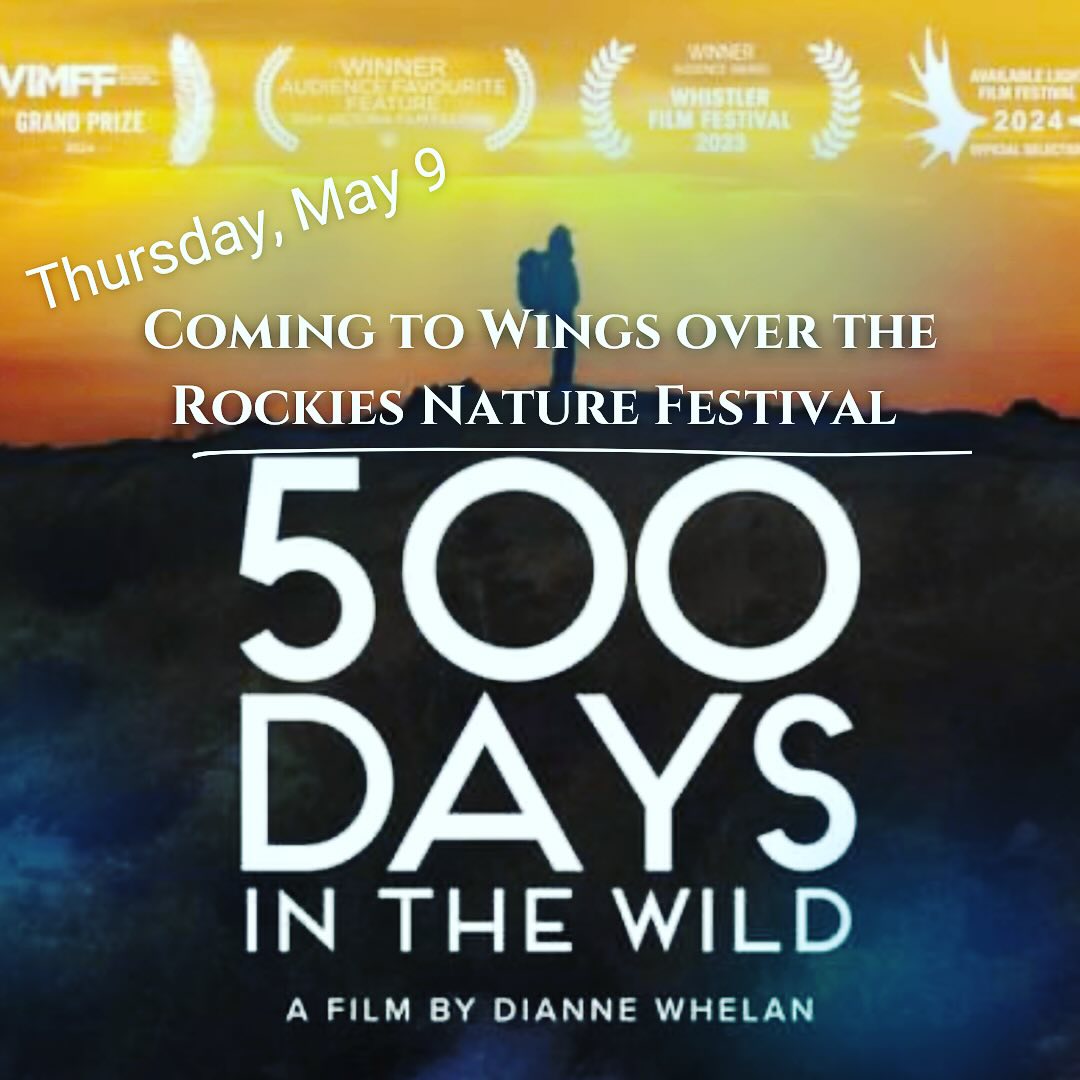 500 Days in the Wild