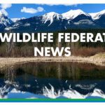 BCWF hosting town hall in Cranbrook May 4