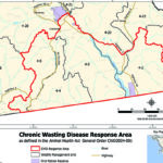 Localized deer harvest continues to test for CWD