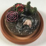 Designing a Succulent Garden: Sculpture Painting Workshop