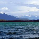 CLSS addresses concerns of fish deaths in Columbia Lake
