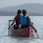 Wings Festival hosting special film event  